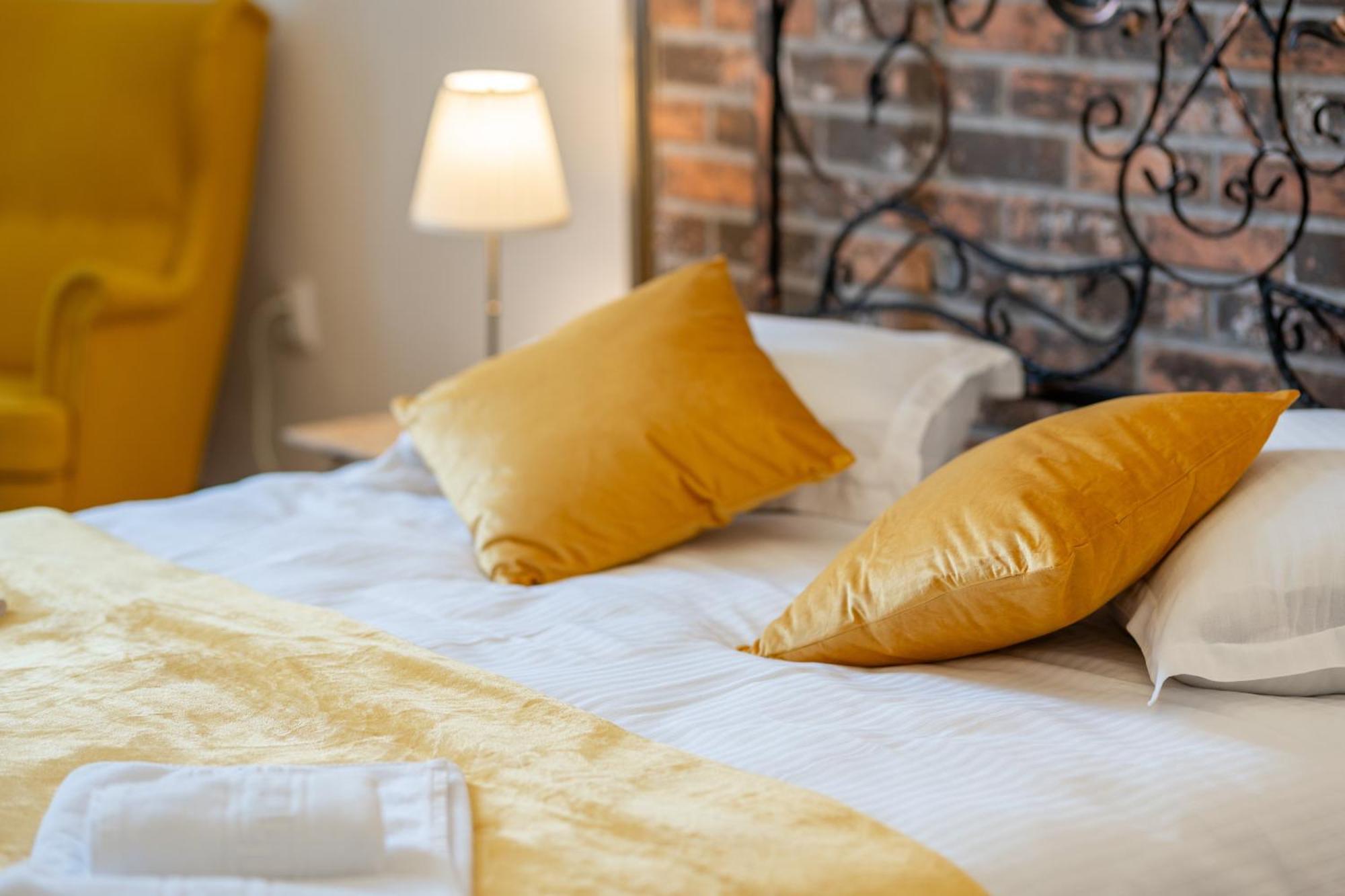 Cozy Spacious 5 Star Accommodation In The Heart Of Historic Center Cluj-Napoca Ngoại thất bức ảnh